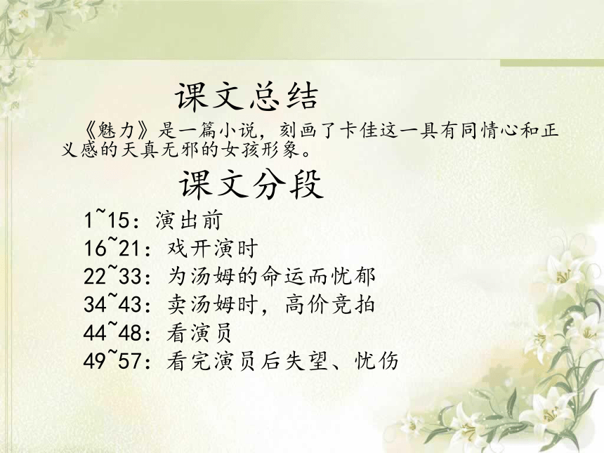 语文六下《魅力》课件