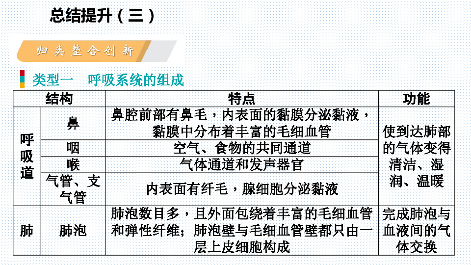 总结提升（三） 人体的呼吸导学课件（共20张PPT）