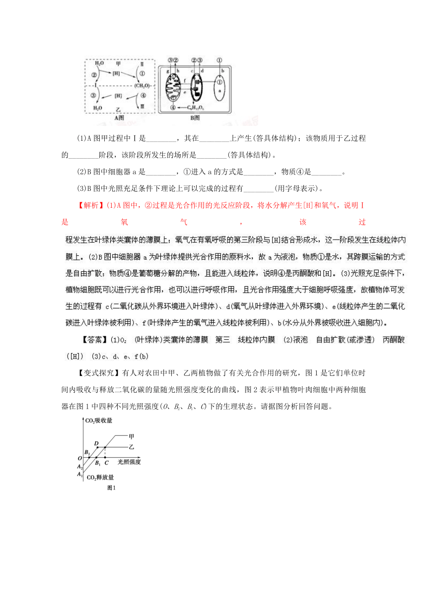 专题05 细胞呼吸与光合作用-2014年高考生物考纲解读及热点难点试题演练 Word版含解析