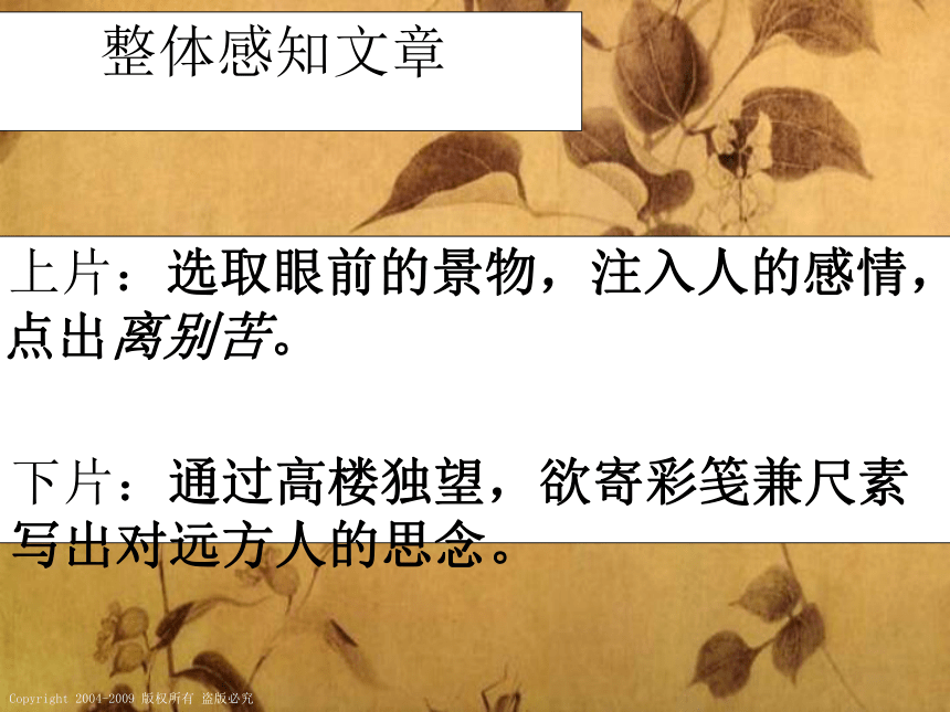 语文课件苏教版必修4：《蝶恋花》