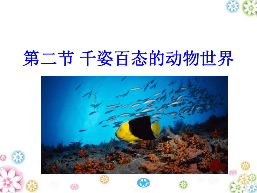 苏教版初二上学期生物第二节_千姿百态的动物世界(65张PPT)