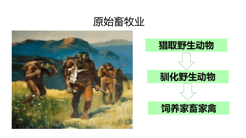 《原始农耕生活》课件(共57张PPT)