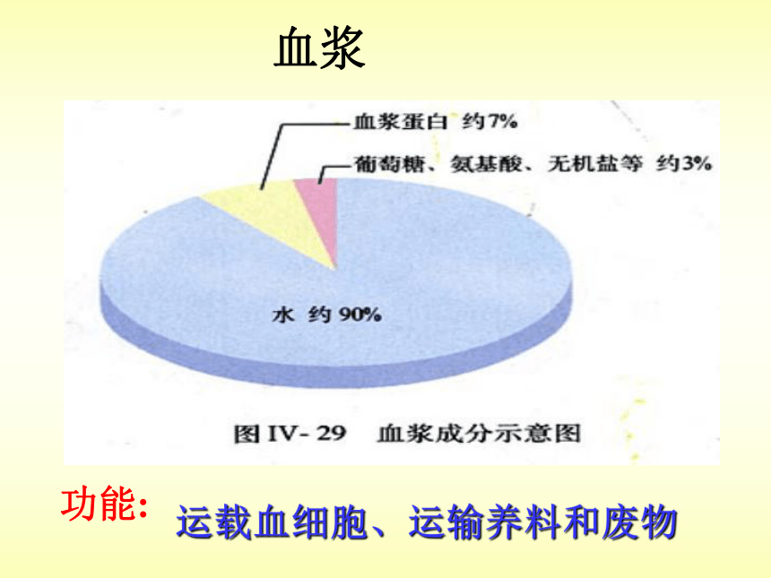 第一节流动的组织---血液