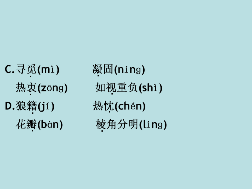 中考考点训练2 字音和字形（二）