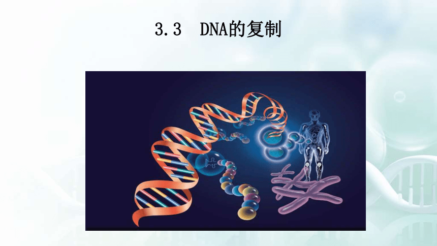 課程標準要求 核心素養 概述dna分子通過半保留方式進行復制 1