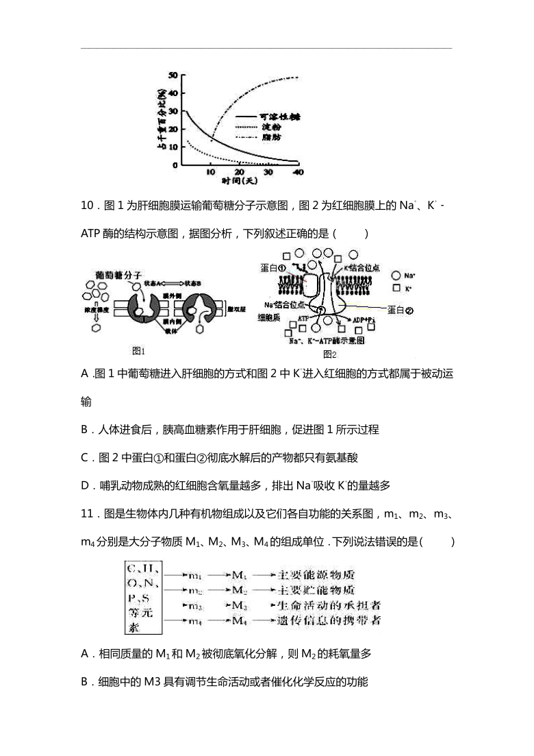 湖南省茶陵三中2021届高三上学期第一次月考生物试题（仅有选择题答案）