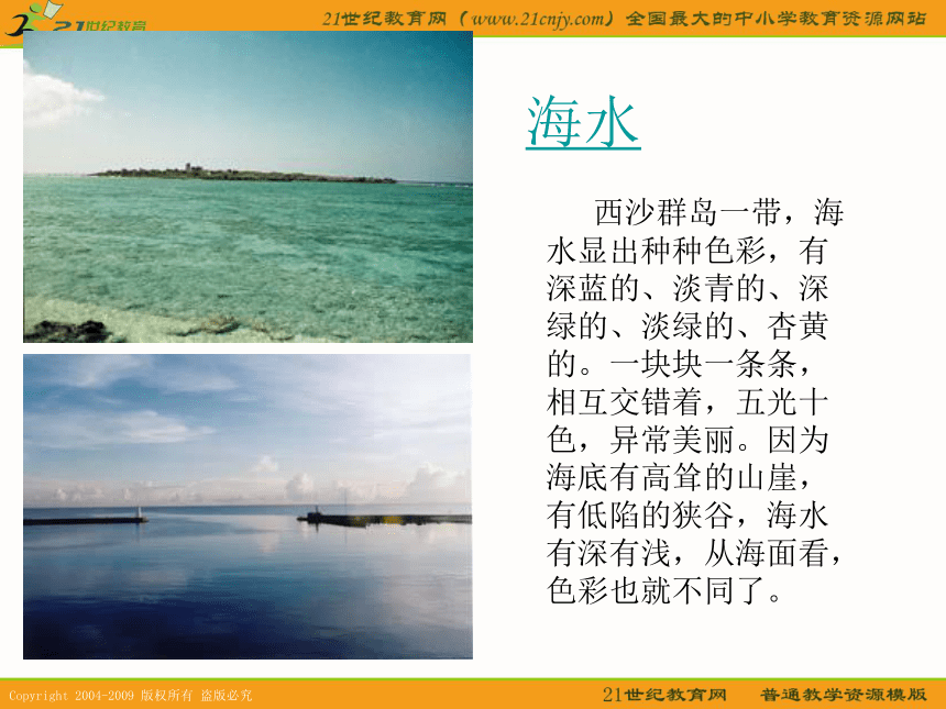 三年级语文下册课件 富饶的西沙群岛 2（北京版）