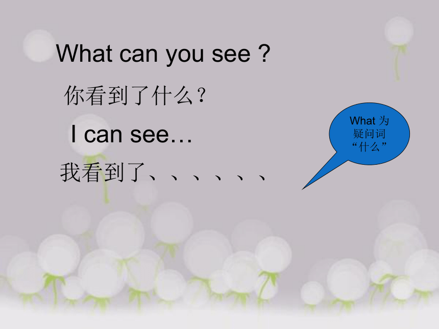 Unit 1 What can you see？Section A 课件