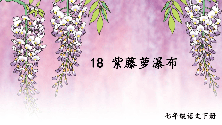 第18课紫藤萝瀑布课件共33张ppt20212022学年部编版语文七年级下册