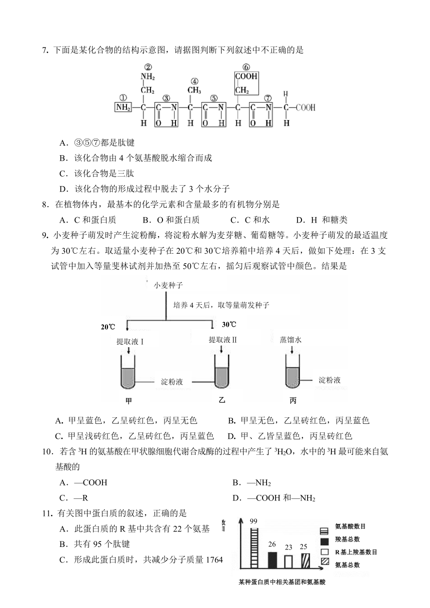 河北省石家庄市第一中学2016-2017学年高一上学期期末考试生物试题 Word版含答案