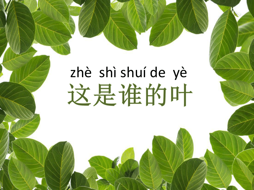 ̿ư2017һ꼶ϲѧμ14˭Ҷμppt