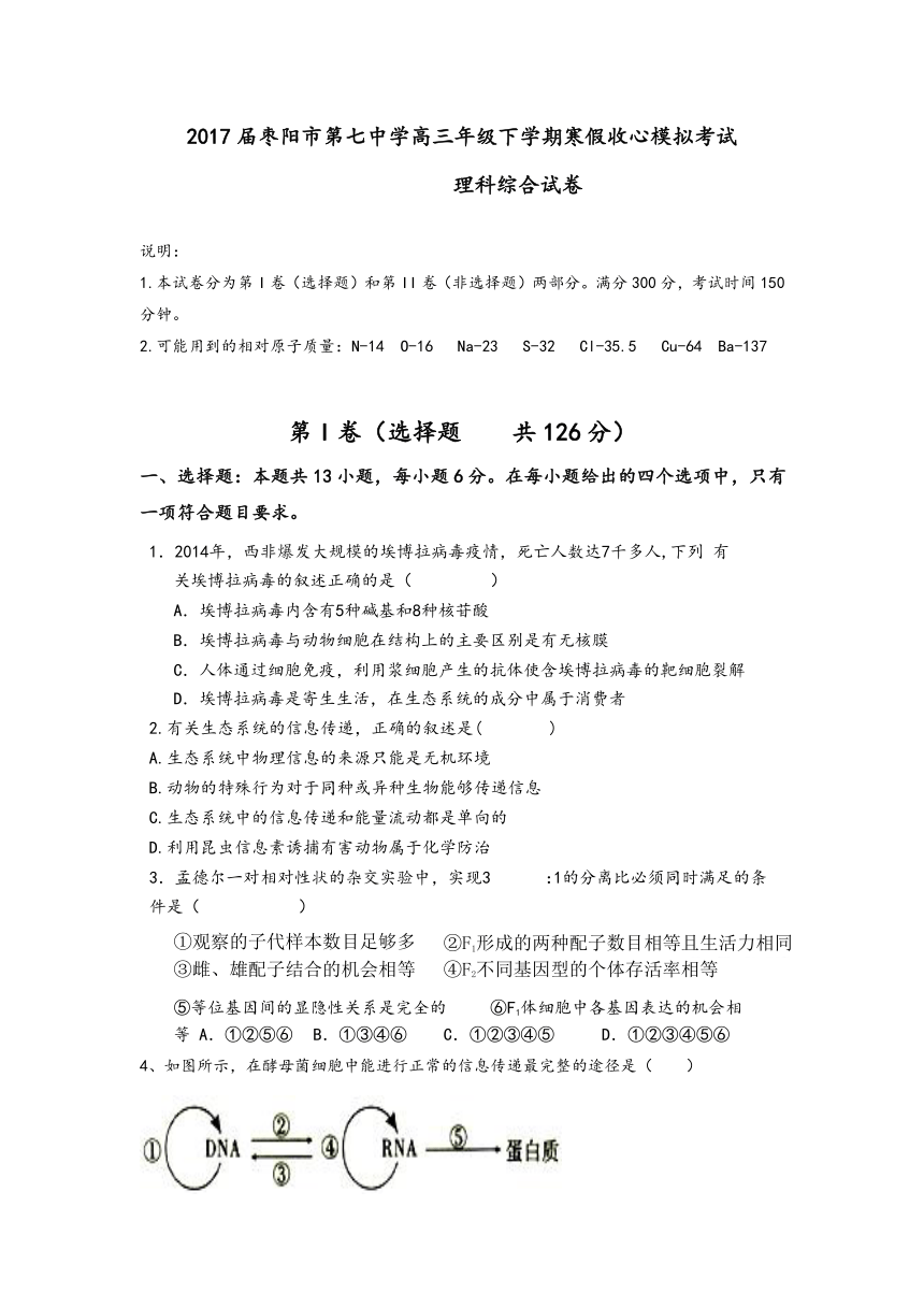 湖北枣阳七中2017届高三下学期寒假收心模拟考试理科综合  Word版含答案