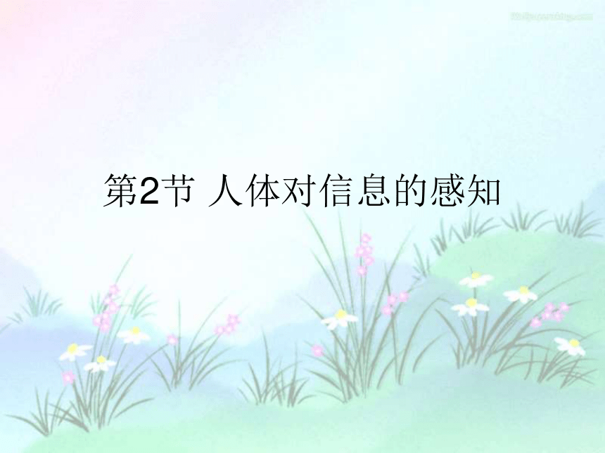 3.1 眼与视觉（全）