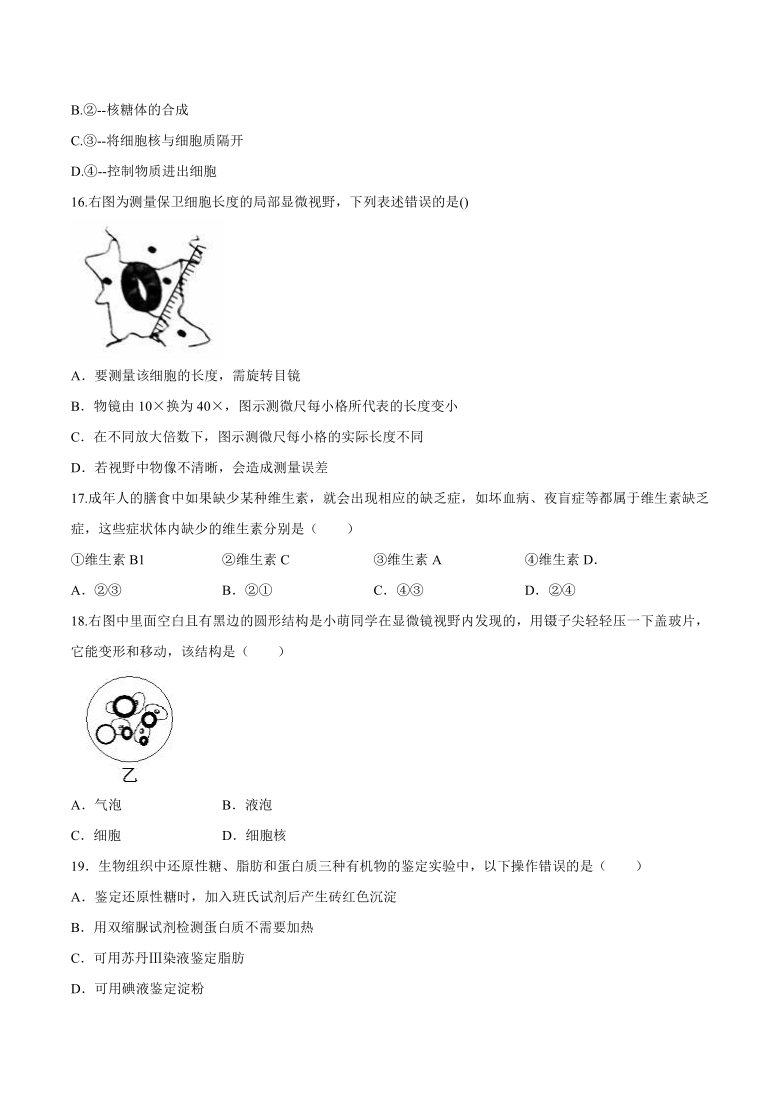 上海市虹口区鲁迅中学2020-2021学年高一10月月考生物试题