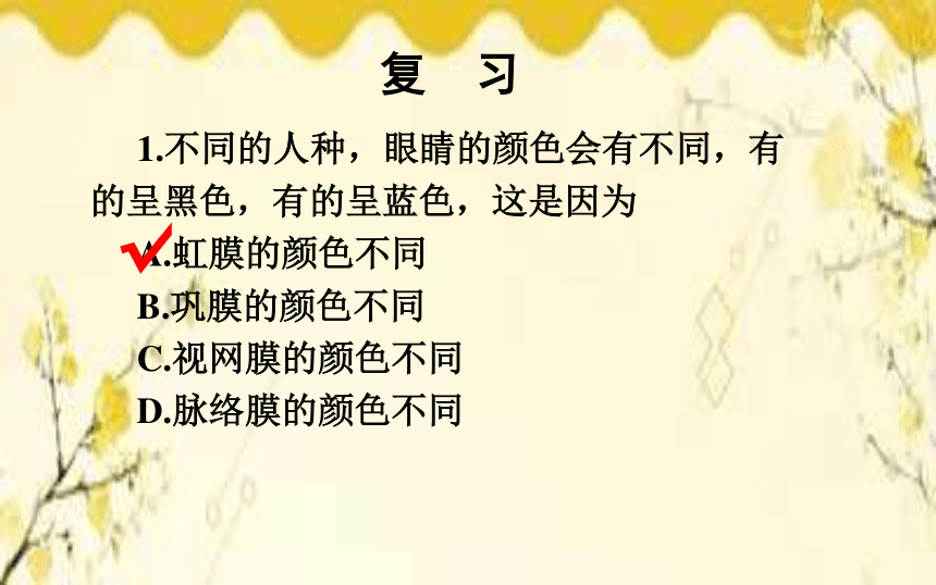 北師大版生物學七年級下冊第12章人體的自我調節第2課時耳和聽覺課件