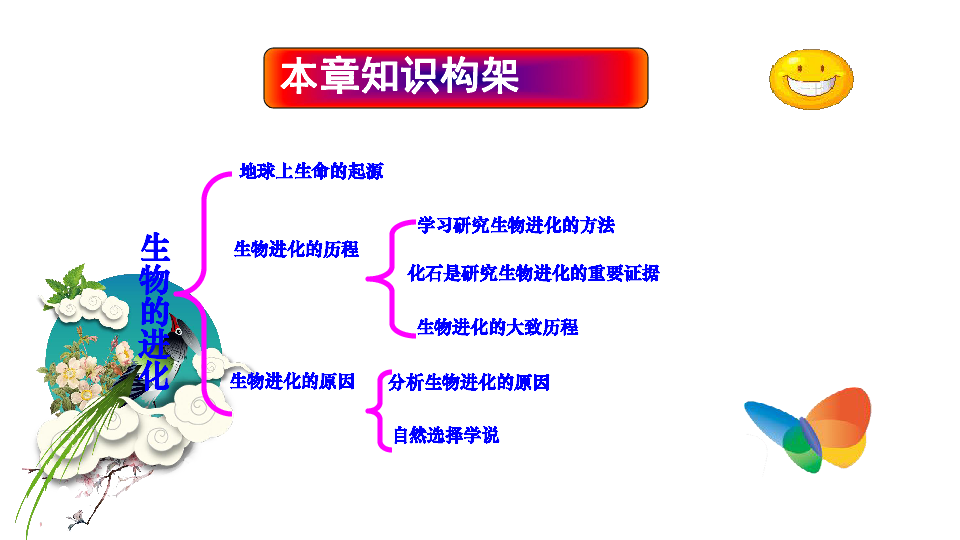 2019年人教版生物中考复习专项复习易错点第二课时（生物进化、遗传变异、细菌和真菌在生物圈中的作用、各种生物）课件（ 共35张PPT）