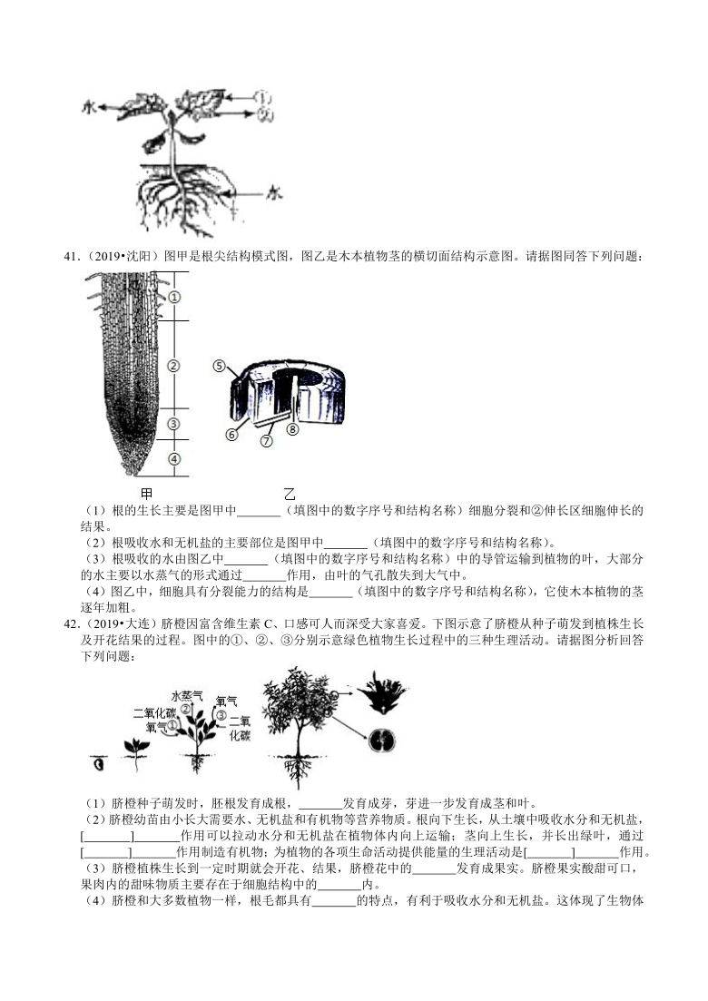 辽宁省2018-2020年近三年中考生物试题分类（3）——生物圈中的植物(含解析)