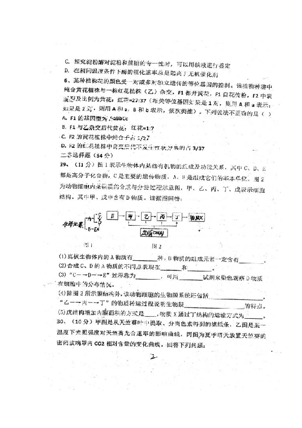 四川省眉山市青神中学校2020届高三10月份月考试生物试题 扫描版