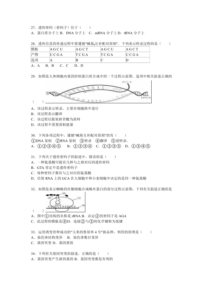 【解析版】2014-2015学年江苏省淮安市洪泽二中高一（下）月考生物试卷（6月份）