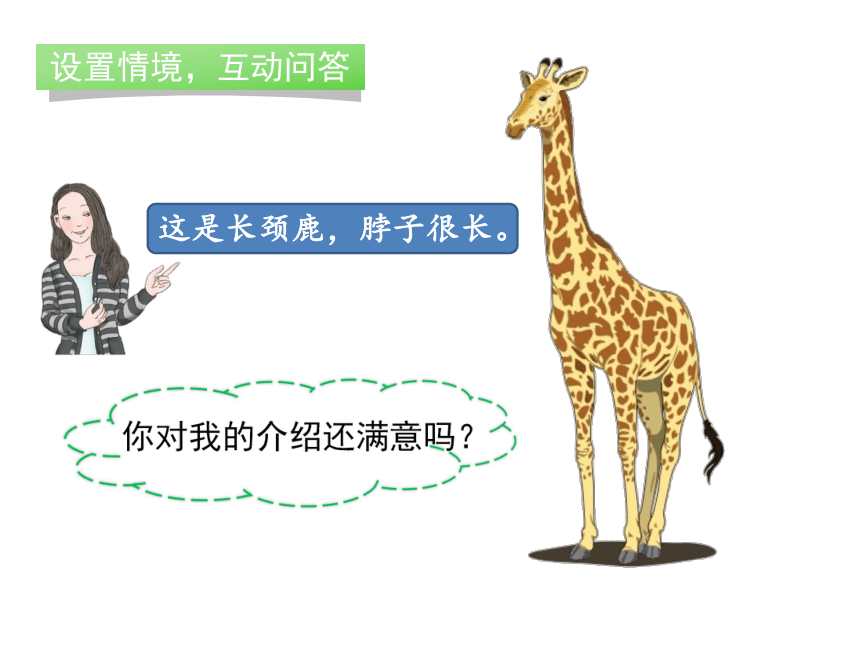 口语交际：有趣的动物课件 (共20张PPT)