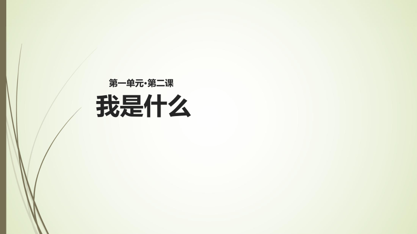 我是什么   课件(共32张PPT)