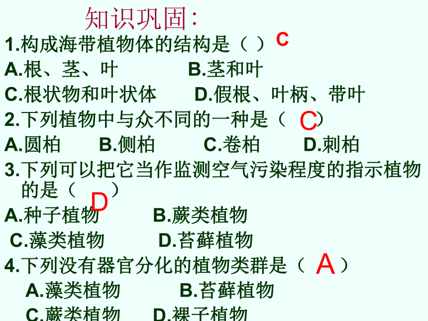 济南版 七年级上册生物 期中复习  第一节 绿色植物的主要类群课件（29张PPT）