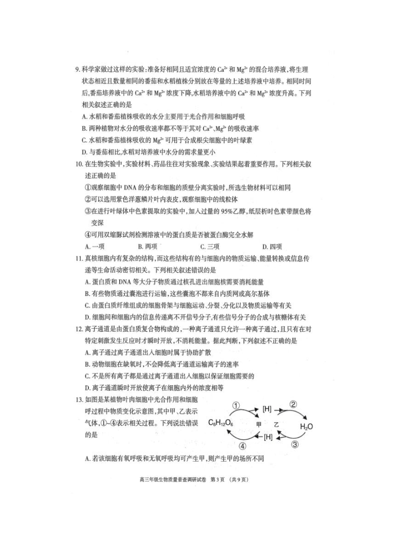 内蒙古呼和浩特市2021届高三上学期质量普查调研考试生物试卷 扫描版含答案