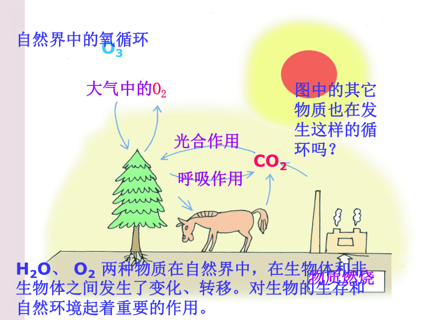浙教版八年级下册第2章空气与生命第六节自然界中氧和碳的循环（第2课时）[下学期]