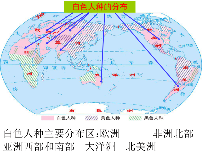 商务星球版地理七上5.2-世界的人种、语言和宗教(17张PPT)