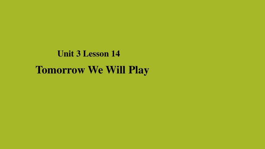 Unit 3 Lesson 14 Tomorrow We Will Plly 课件 17张