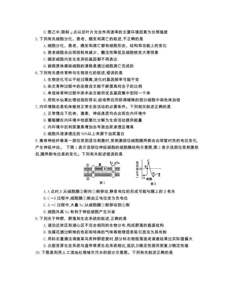 江苏省2021届高三年级百校联考第一次试卷生物试题