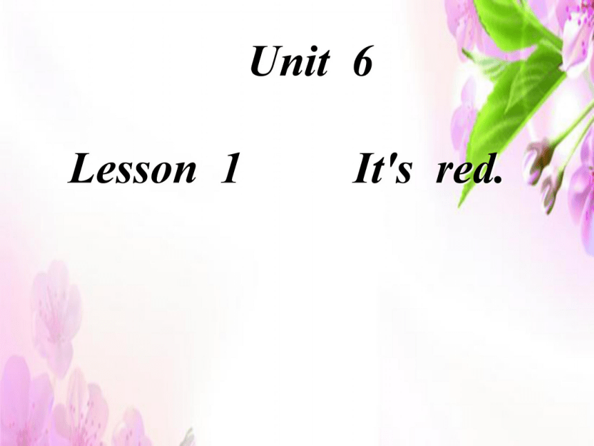 Unit 6 Colours Lesson 1 It's Red 课件