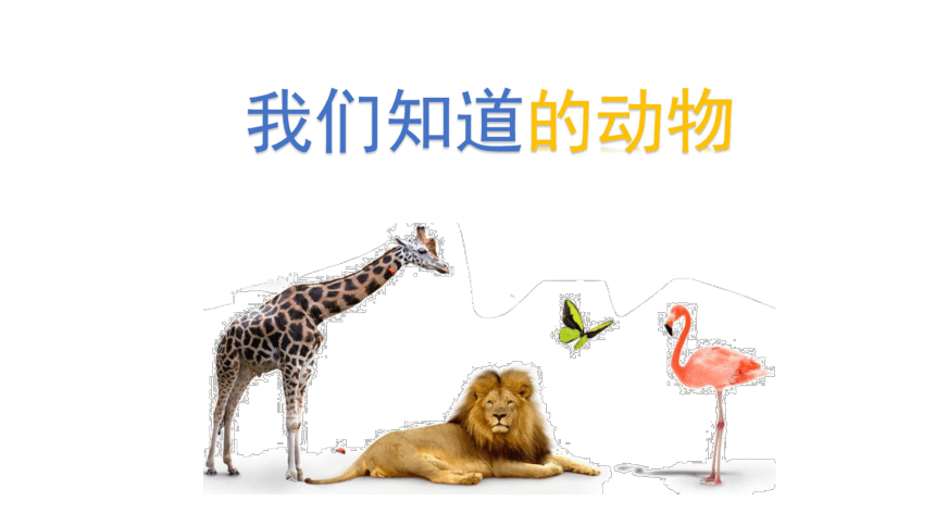 课件预览