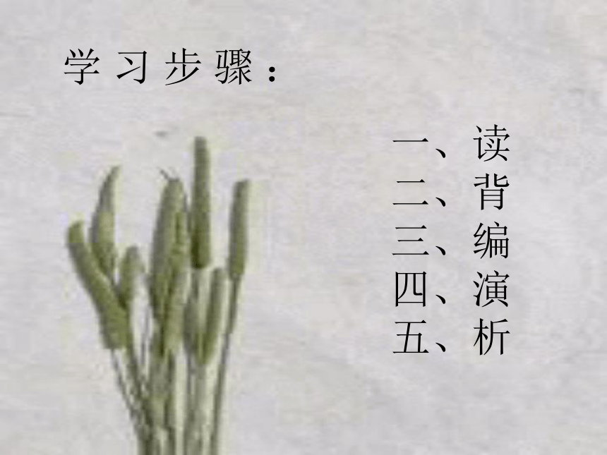 课件预览