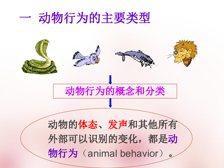 16.2 动物行为的主要类型(共62张PPT)