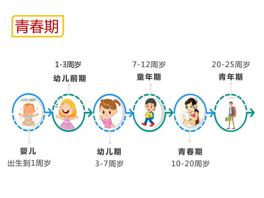 人教版七年级生物下册413青春期课件共29张ppt