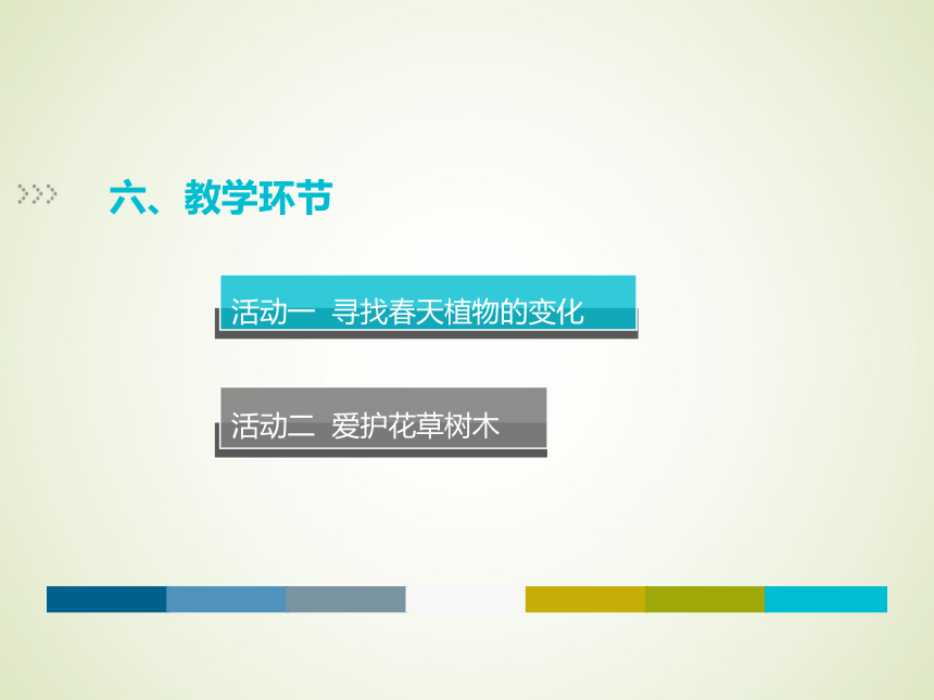 花儿草儿真美丽说课课件 (共17张PPT)