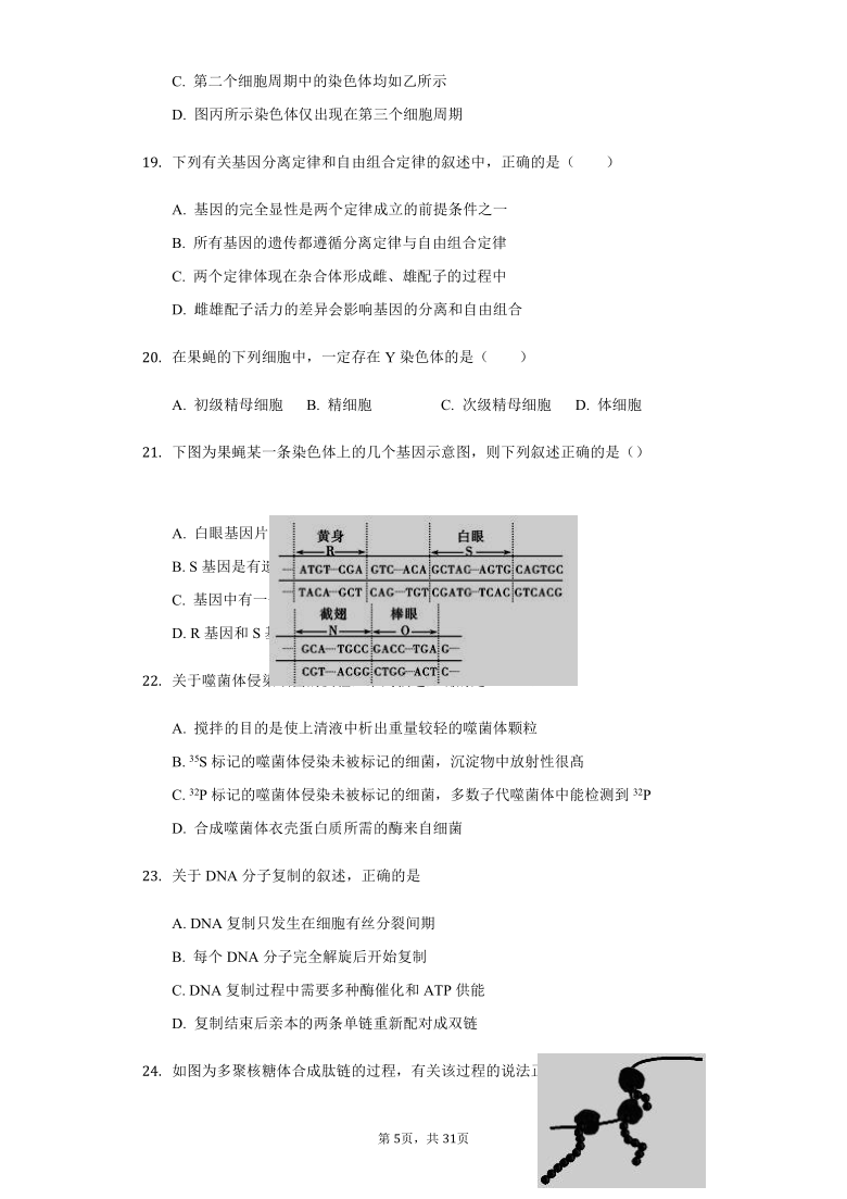 河北省石家庄二中2020-2021学年高一9月月考生物试题