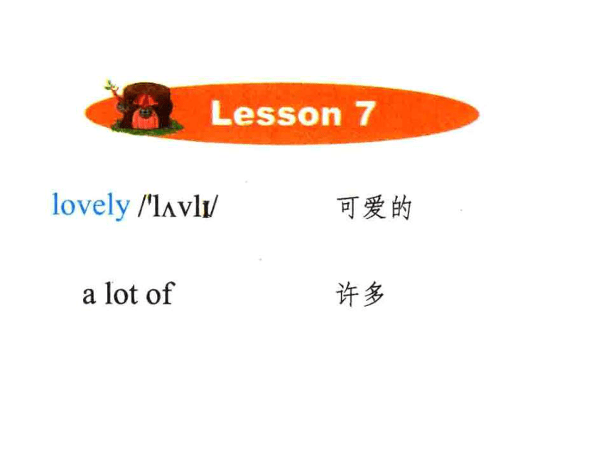 Lesson 7 Where do the tigers come from? 课件