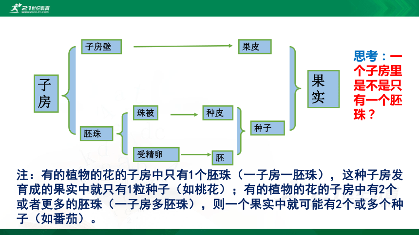 7.1.2昆虫的生殖和发育(共34张PPT)