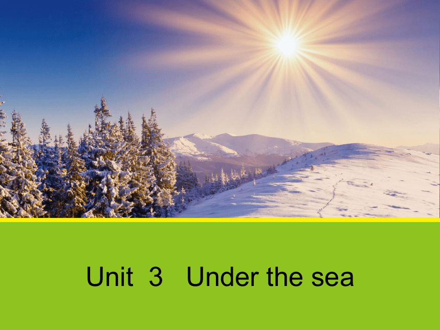 Unit 3 Under the sea Using Language II 课件（32张）