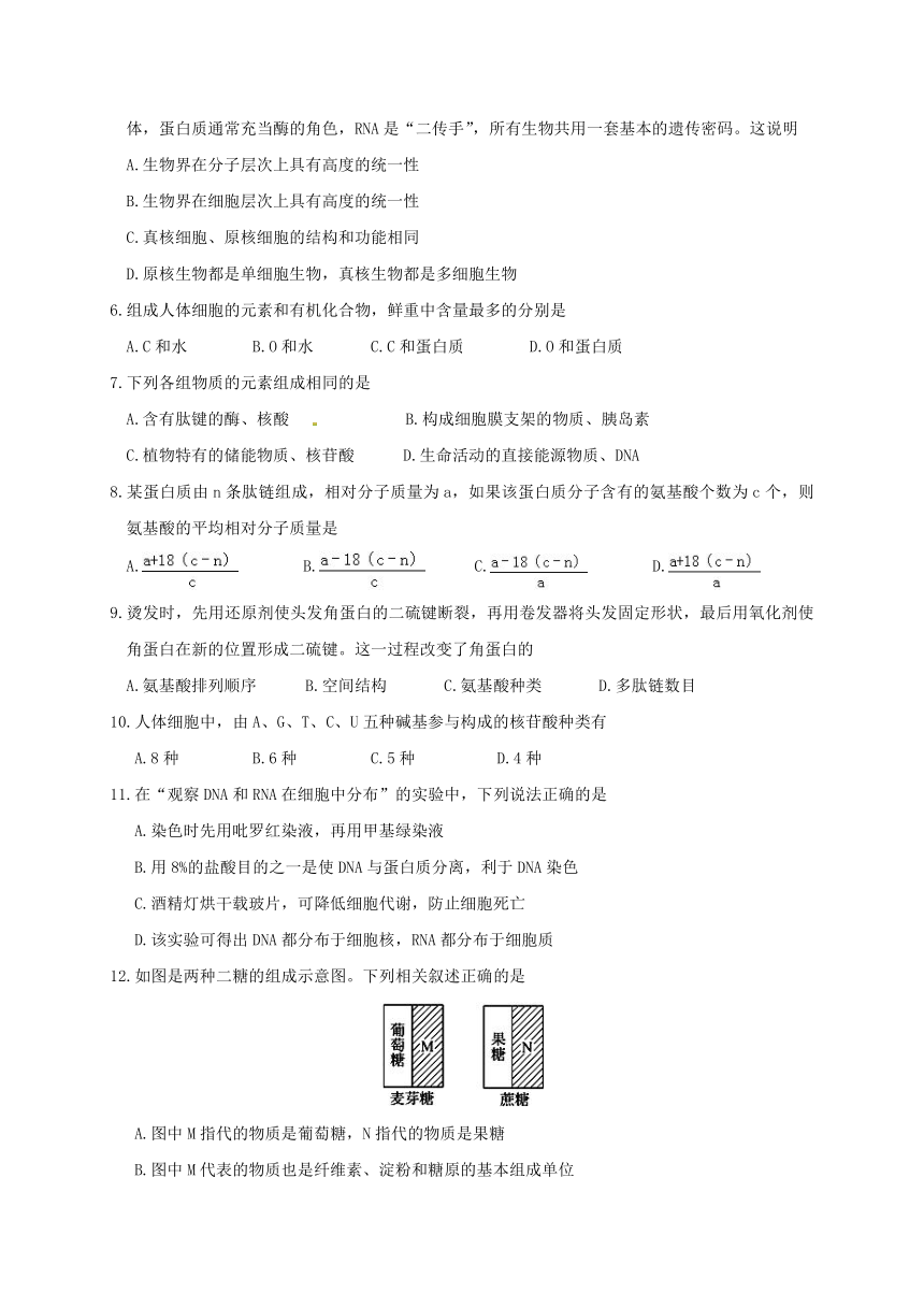 广东省揭阳市惠来县第一中学2016-2017学年高一上学期期末考试生物试题