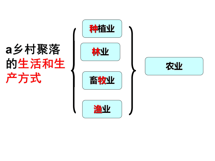 乡村与城市 课件