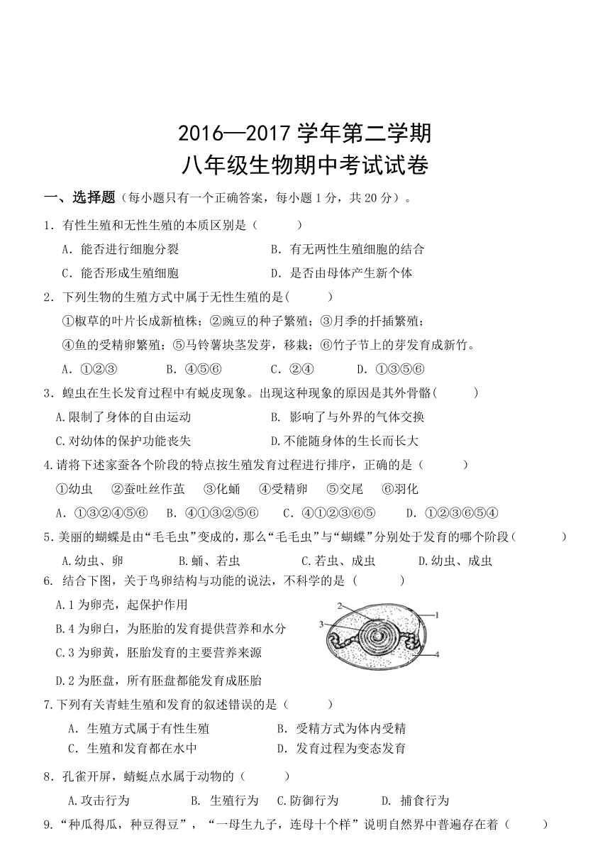 甘肃武威民勤实验中学2016—2017学年第二学期八年级生物期中考试试卷