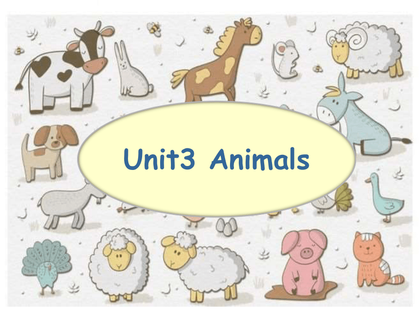 Unit 3 Animals 课件(共56张PPT)-21世纪教育网