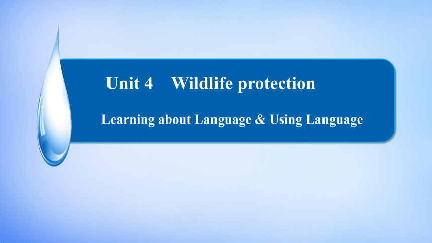 Unit 4 Wildlife Protection Learning about language 课件（32张）
