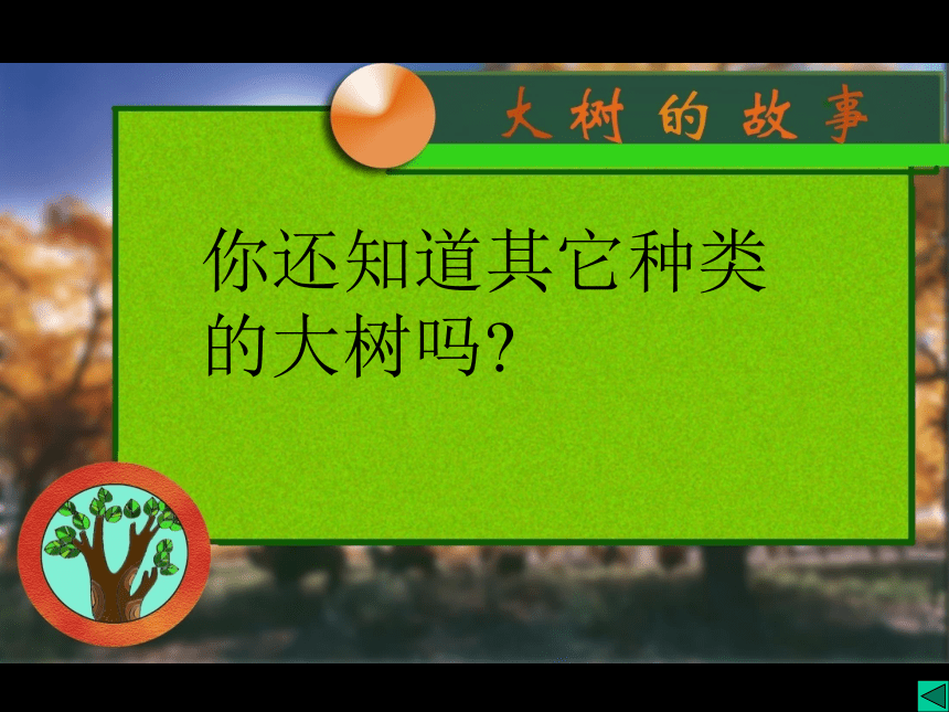 美术一年级下冀美版19《大树的故事》课件（26张）