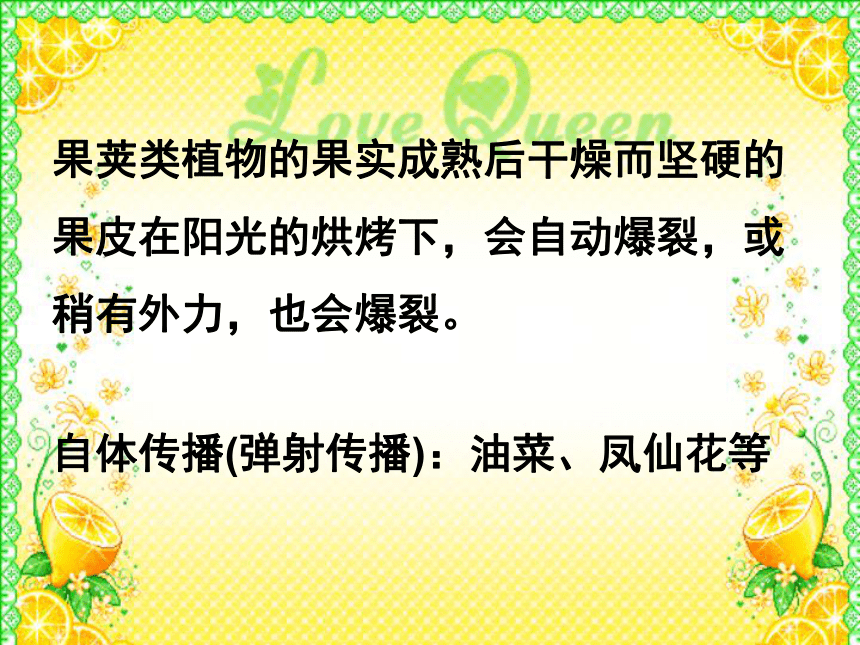 教科版小学科学四下2.4《把种子散播到远处》获奖课件（15张）