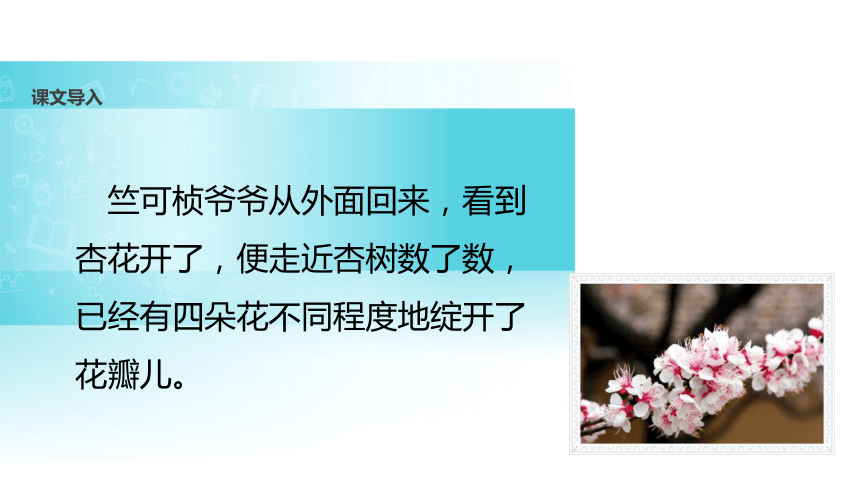 第一朵杏花课件(共35张PPT)