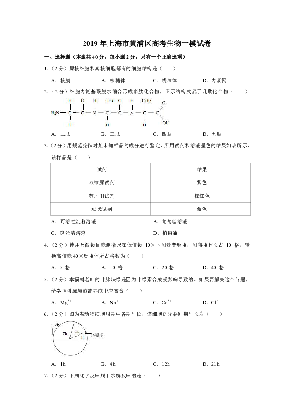 2019年上海市黄浦区高考生物一模试卷（解析版）